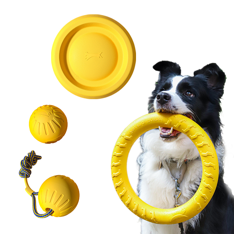 Pet Dental Chew Toy - Jouets durables EVA pour chiens, paquet