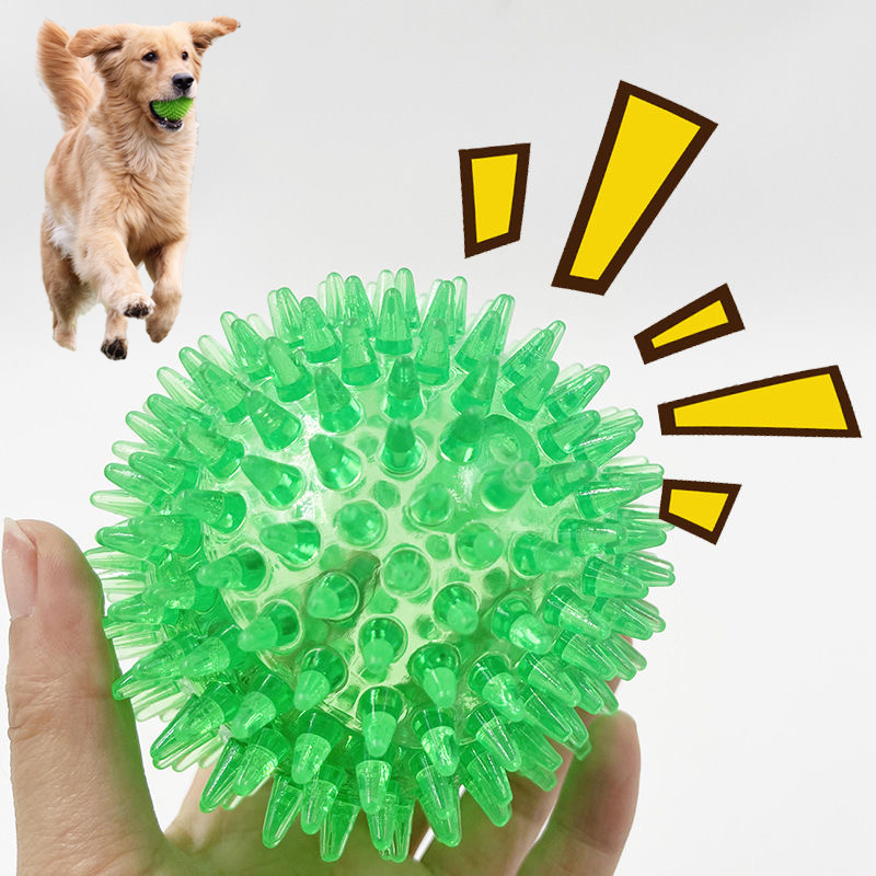 Pet Dental Chew Toy - Bouledogue français à haute élasticité, balle