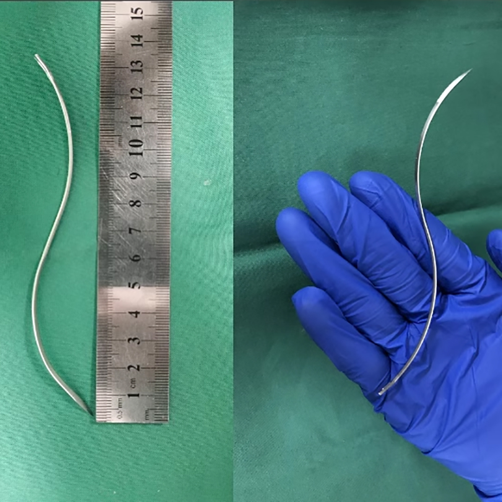 Pet Supplies Vet - Aiguille de suture en S pour