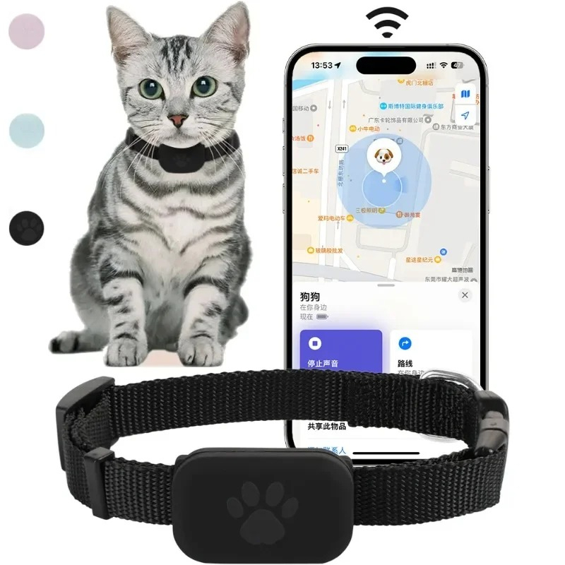 Pet Supplies Locations - Collier GPS pour chatons avec batterie