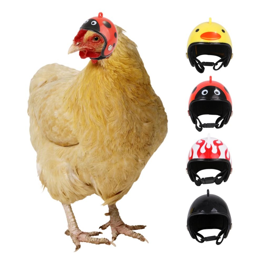 Pet X Supplies & Tack Howell Photos - Accessoires pour animaux de compagnie ABS