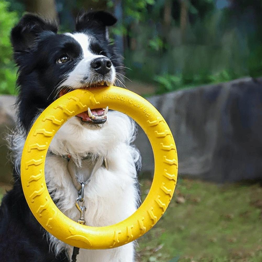 Pet Dental Chew Toy - Jouets pour chiens : Anneaux indestructibles