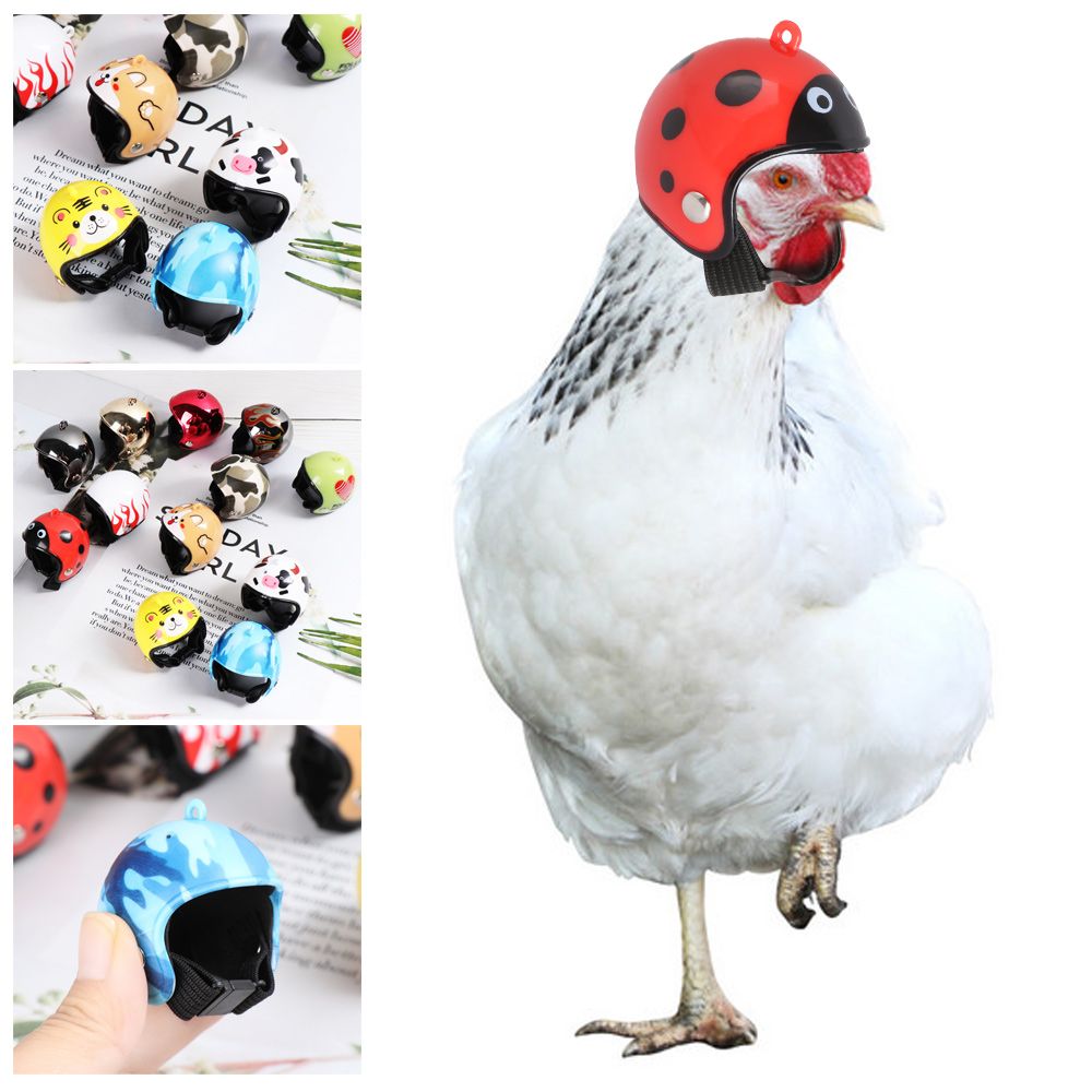 Pet X Supplies & Tack Howell Photos - Casque de protection amusant pour animaux