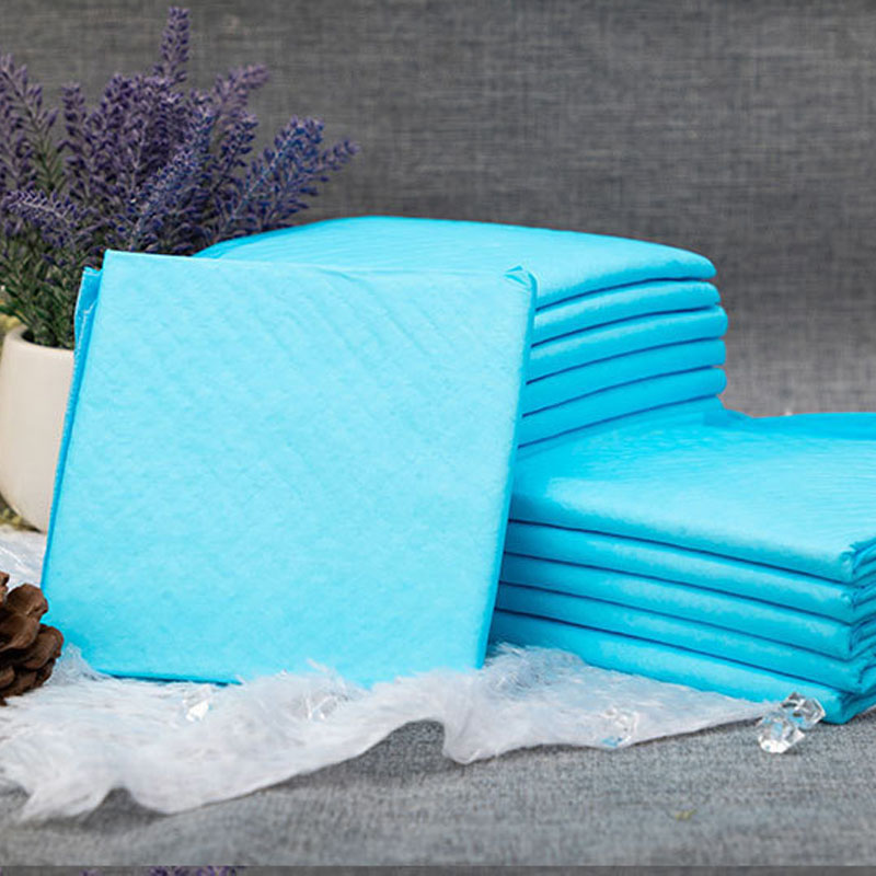 Pet X Supplies & Tack Howell Photos - Matelas à langer jetables pour animaux