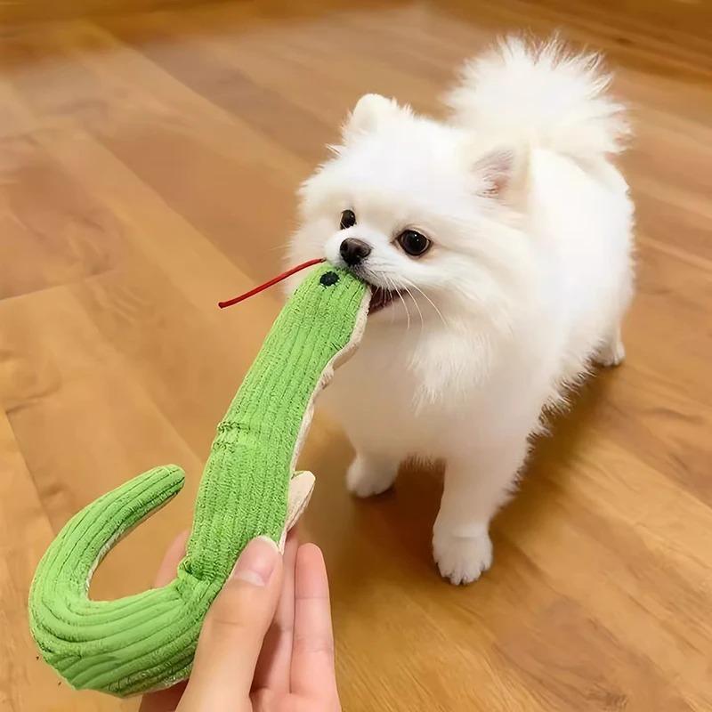 Jouet pour chien de 16,5 pouce - Pet Dental Chew Toy avis et prix