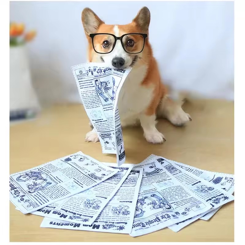 Jouets pour chiens en papier r - Pet Dental Chew Toy avis et prix
