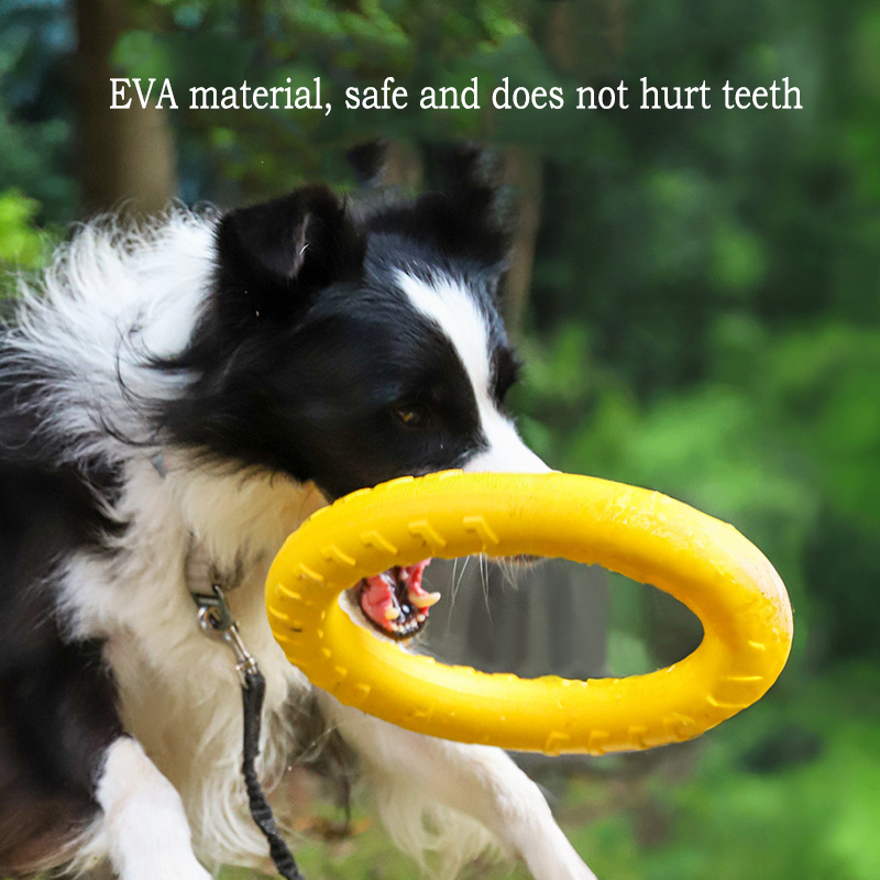 Jouets durables EVA pour chien - Pet Dental Chew Toy avis et prix
