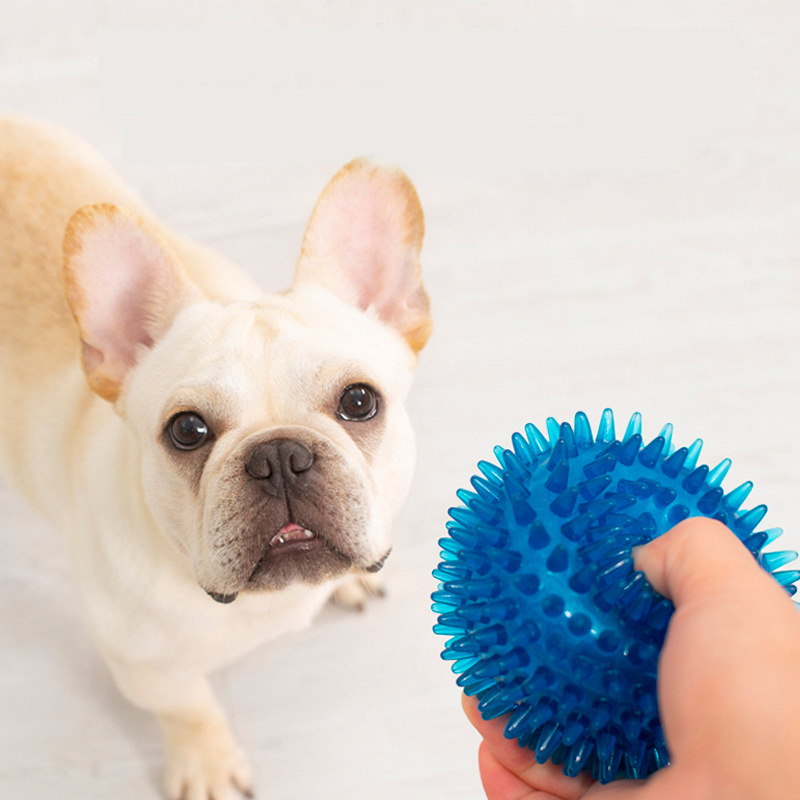 Bouledogue français à haute él - Pet Dental Chew Toy avis et prix