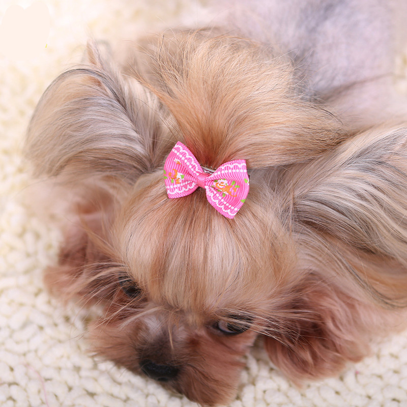 Barrette à cheveux avec nœud e - Pet Supplies York avis et prix