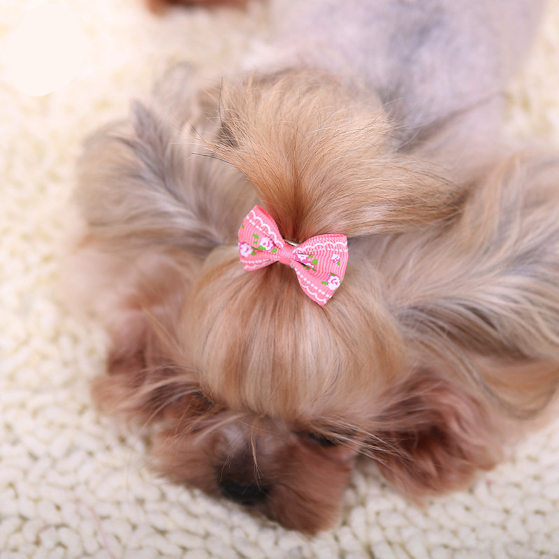 Barrette à cheveux avec nœud e - Pet Supplies York avis et prix