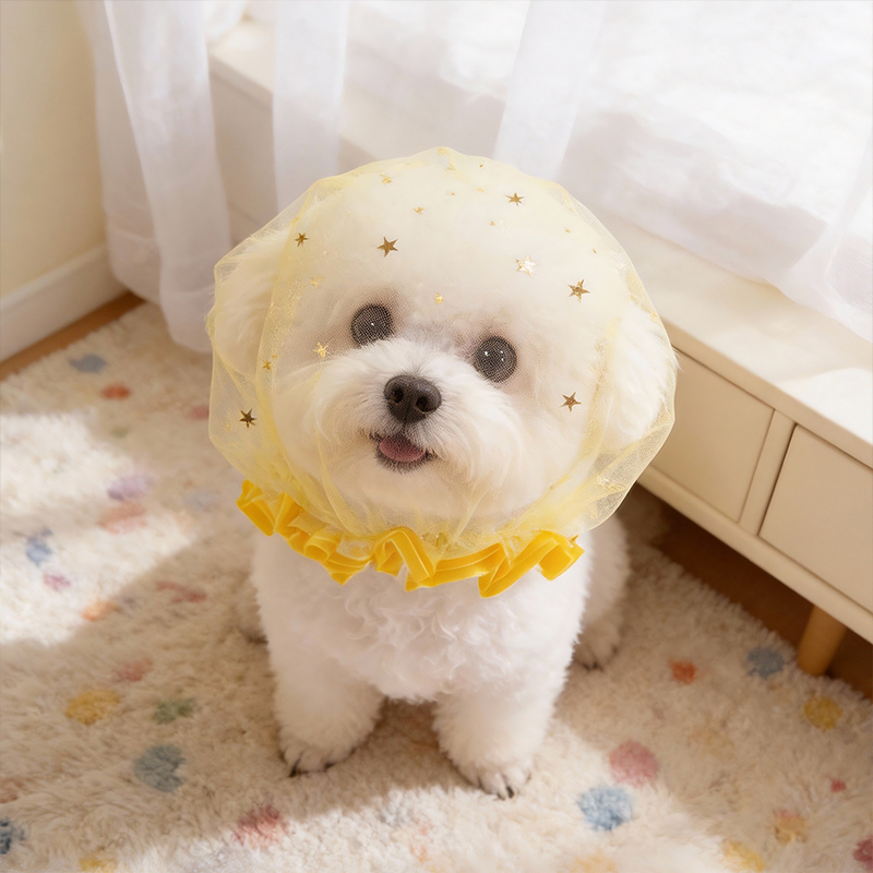 Casquette anti-aboiement d'été - Pet Supplies York avis et prix