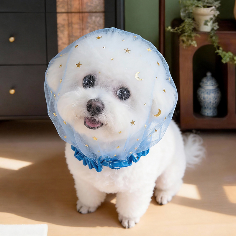 Casquette anti-aboiement d'été - Pet Supplies York avis et prix