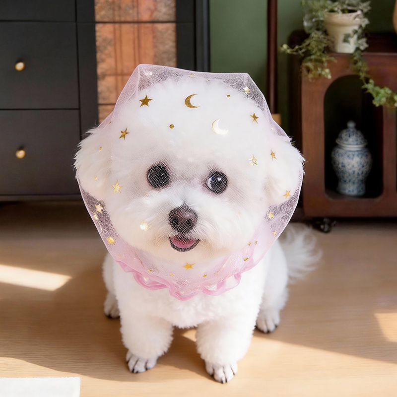 Casquette anti-aboiement d'été - Pet Supplies York avis et prix