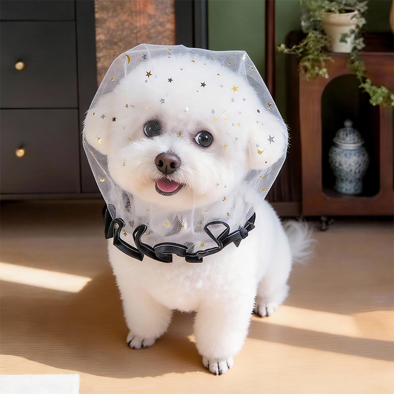 Casquette anti-aboiement d'été - Pet Supplies York avis et prix