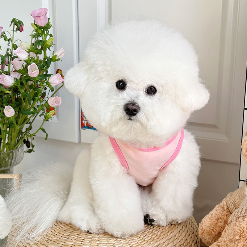 Vêtements pour chiens de dessi - Pet Supplies York avis et prix