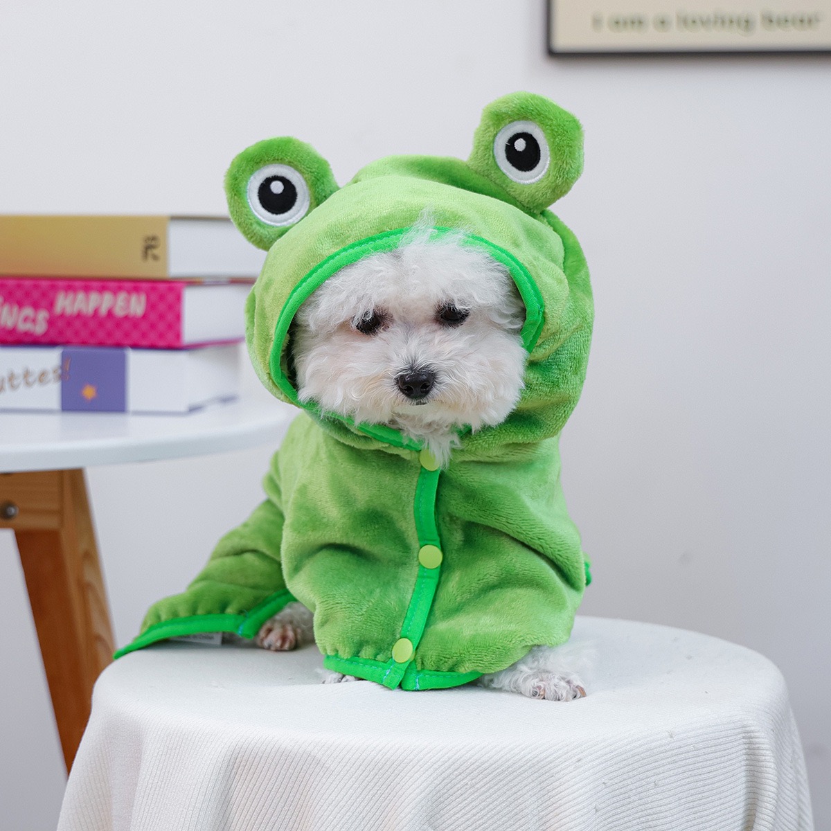 Casquette grenouille une pièce - Pet Supplies York avis et prix