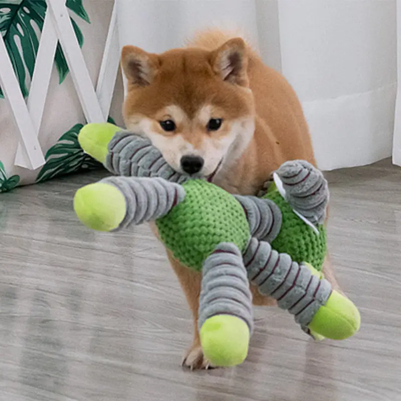 Jouets pour chiens indestructi - Pet Dental Chew Toy avis et prix