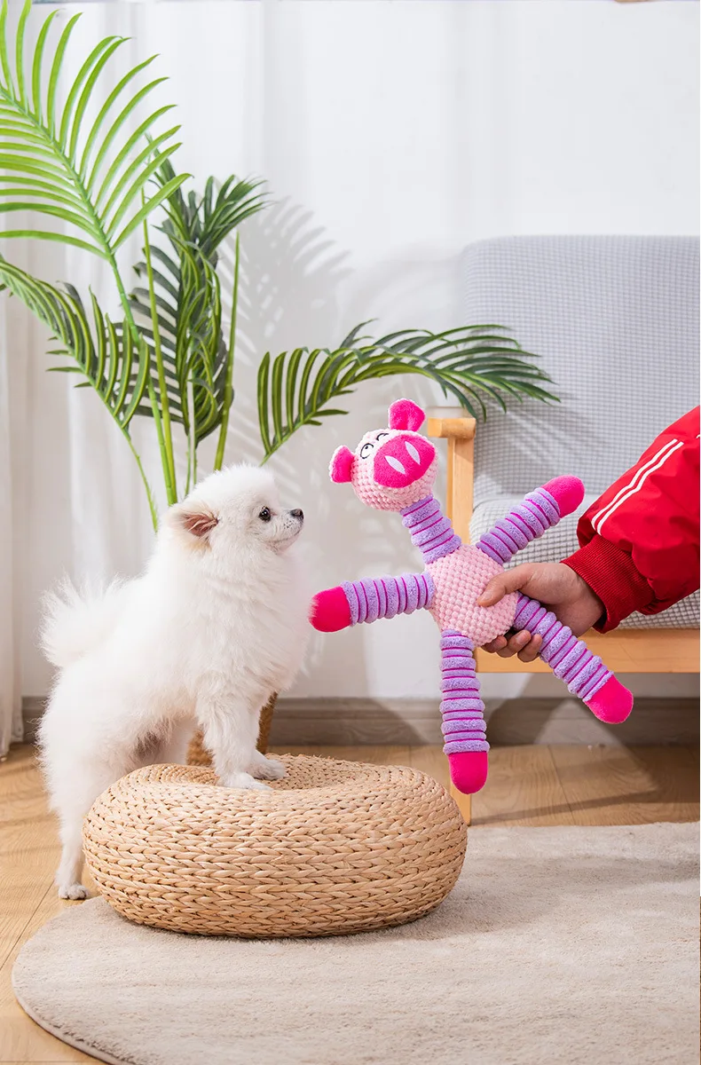 Jouets pour chiens indestructi - Pet Dental Chew Toy avis et prix