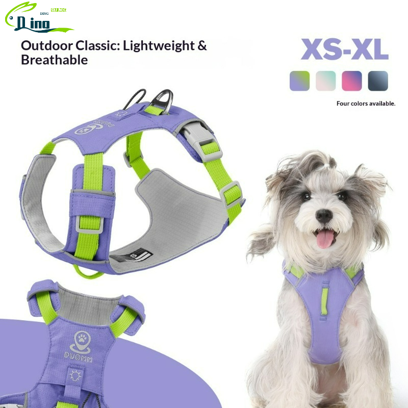 Nouveau Harnais Léger pour Chi - Pet Supplies Locations avis et prix