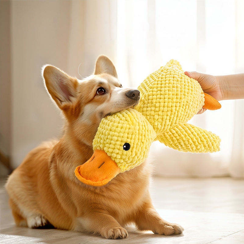 Jouet pour chien en peluche en - Pet Dental Chew Toy avis et prix