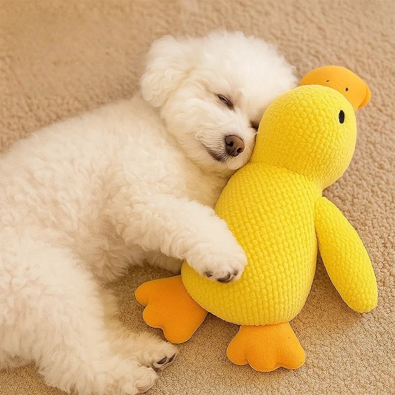 Jouet pour chien en peluche en - Pet Dental Chew Toy avis et prix