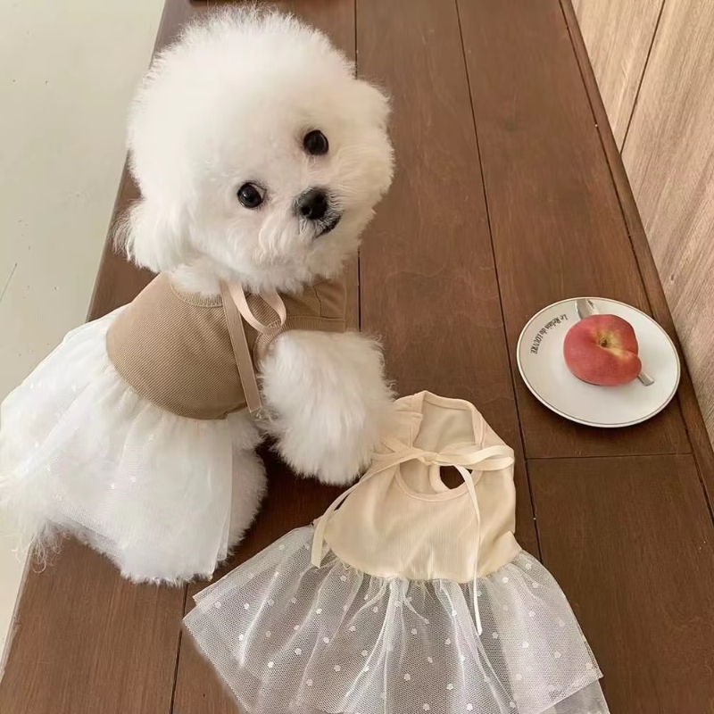 Vêtements d'été pour chiens, j - Pet Supplies York avis et prix