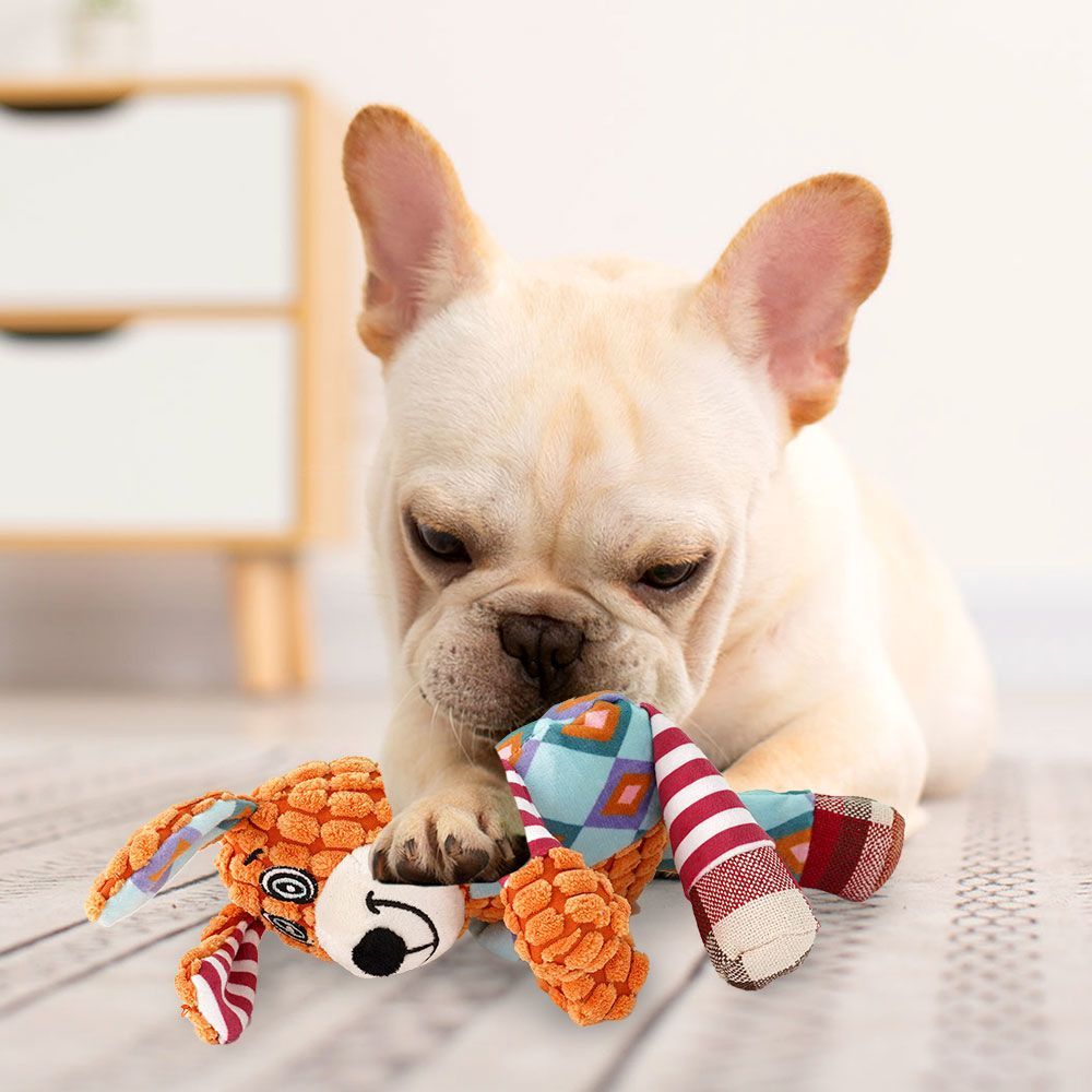 Jouet pour chien en peluche co - Pet Dental Chew Toy avis et prix