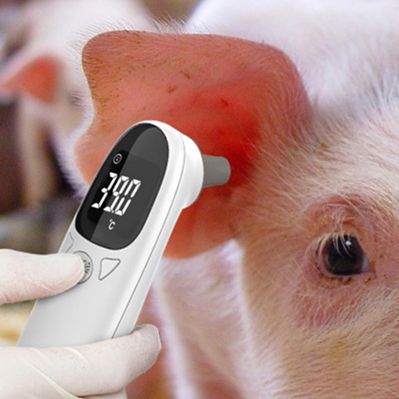 Thermomètres pour animaux de c - Pet Supplies Vet avis et prix