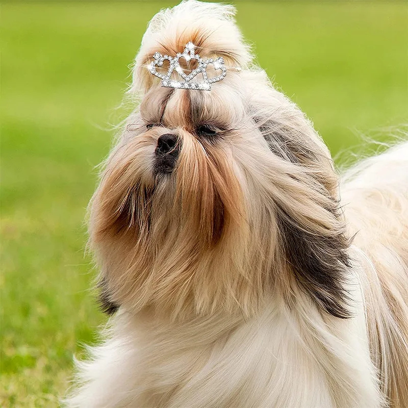 Épingle à cheveux en cristal d - Pet Supplies York avis et prix