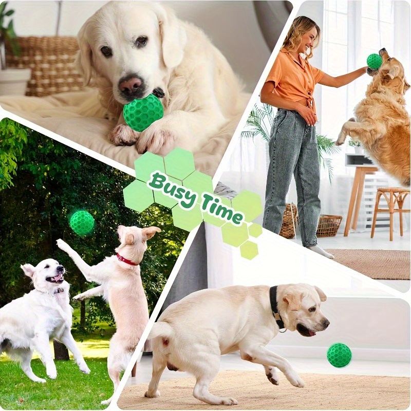 Jouet à mâcher pour chien en c - Pet Dental Chew Toy avis et prix
