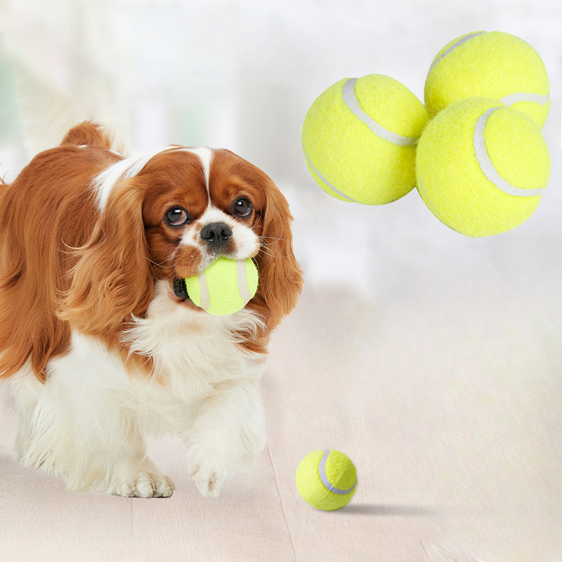 Jouet à mâcher pour chien en c - Pet Dental Chew Toy avis et prix