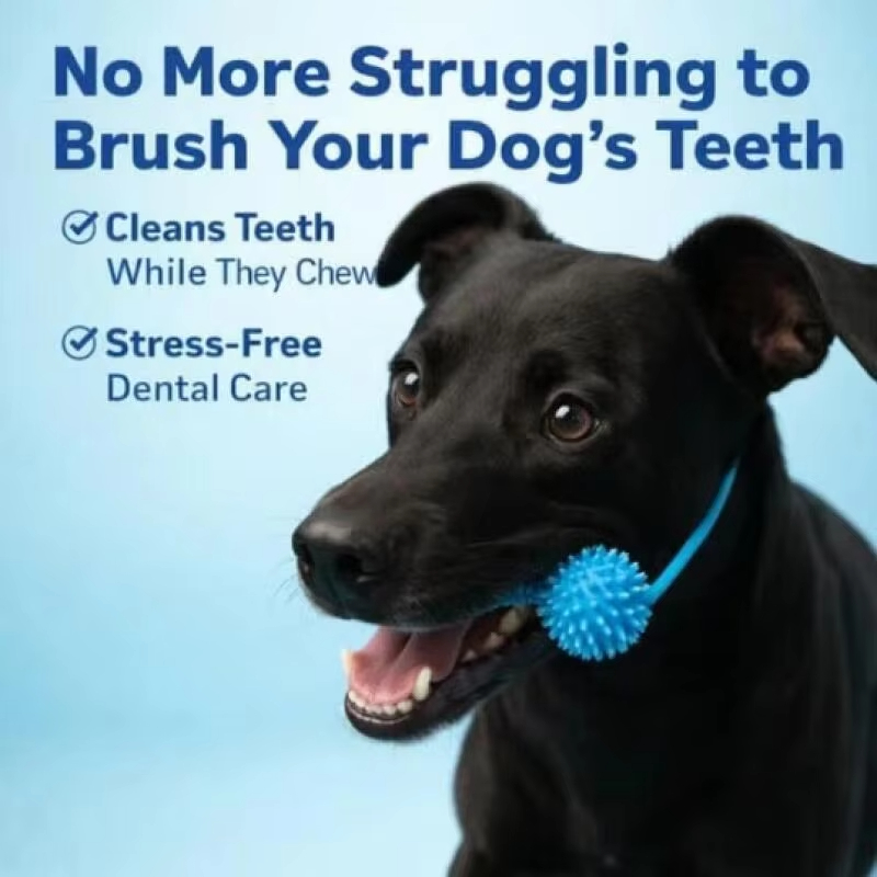 Jouet à mâcher pour chien pour - Pet Dental Chew Toy avis et prix