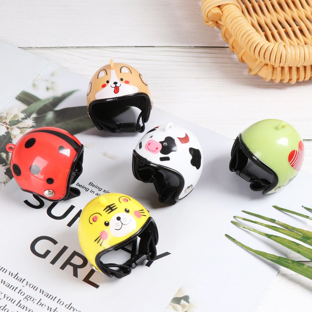 Accessoires pour animaux de co - Pet X Supplies & Tack Howell Photos avis et prix