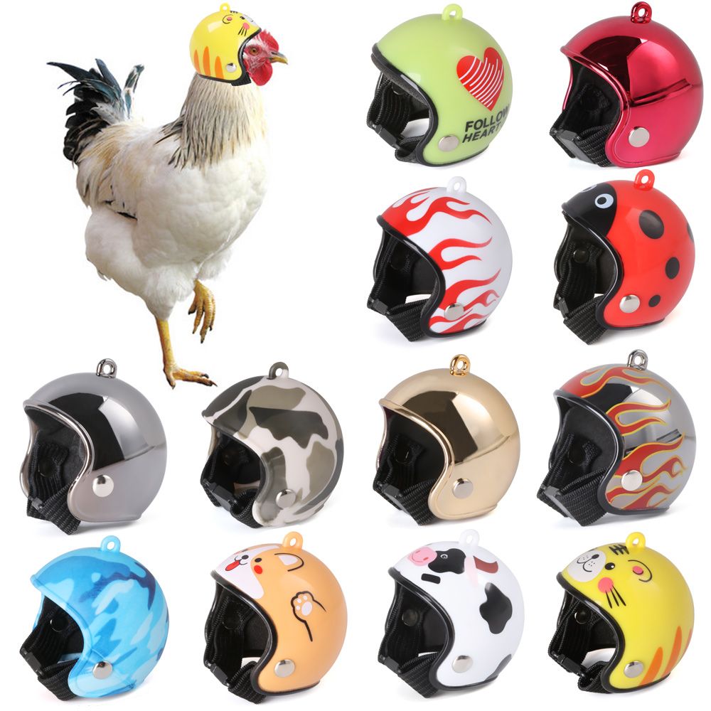 Accessoires pour animaux de co - Pet X Supplies & Tack Howell Photos avis et prix