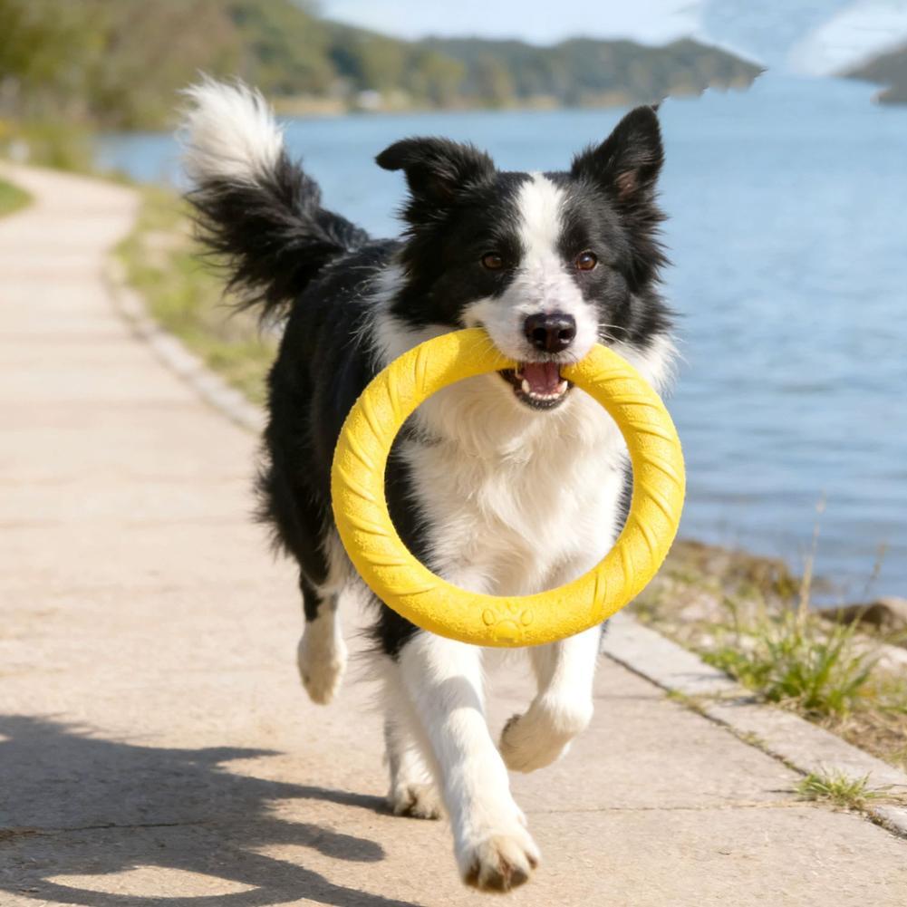 Jouets pour chiens : Anneaux i - Pet Dental Chew Toy avis et prix