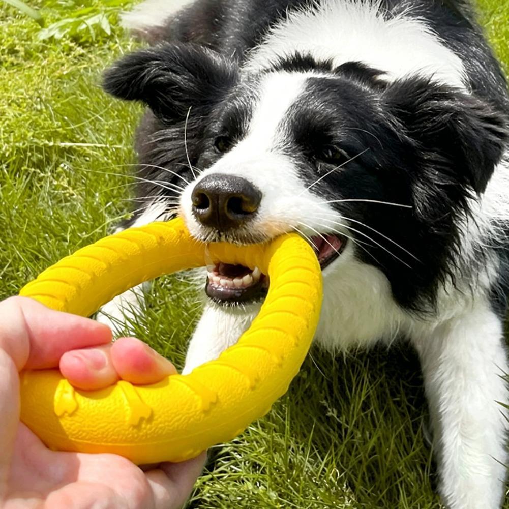 Jouets pour chiens : Anneaux i - Pet Dental Chew Toy avis et prix
