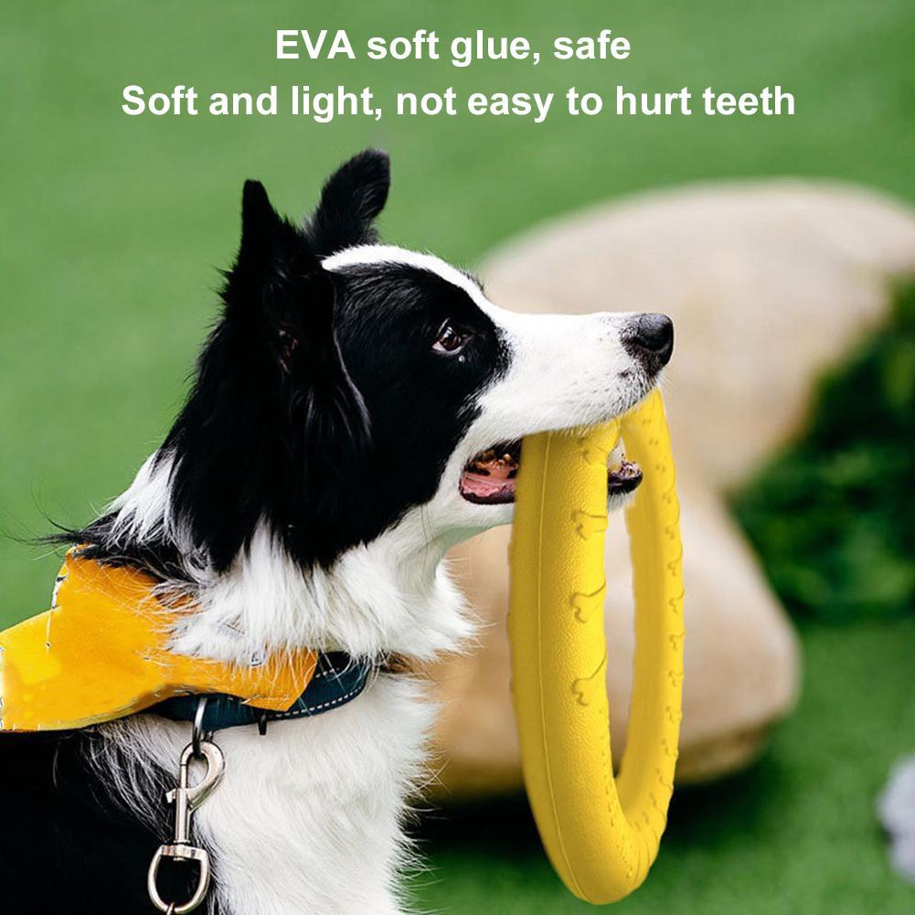 Jouets pour chiens : Anneaux i - Pet Dental Chew Toy avis et prix