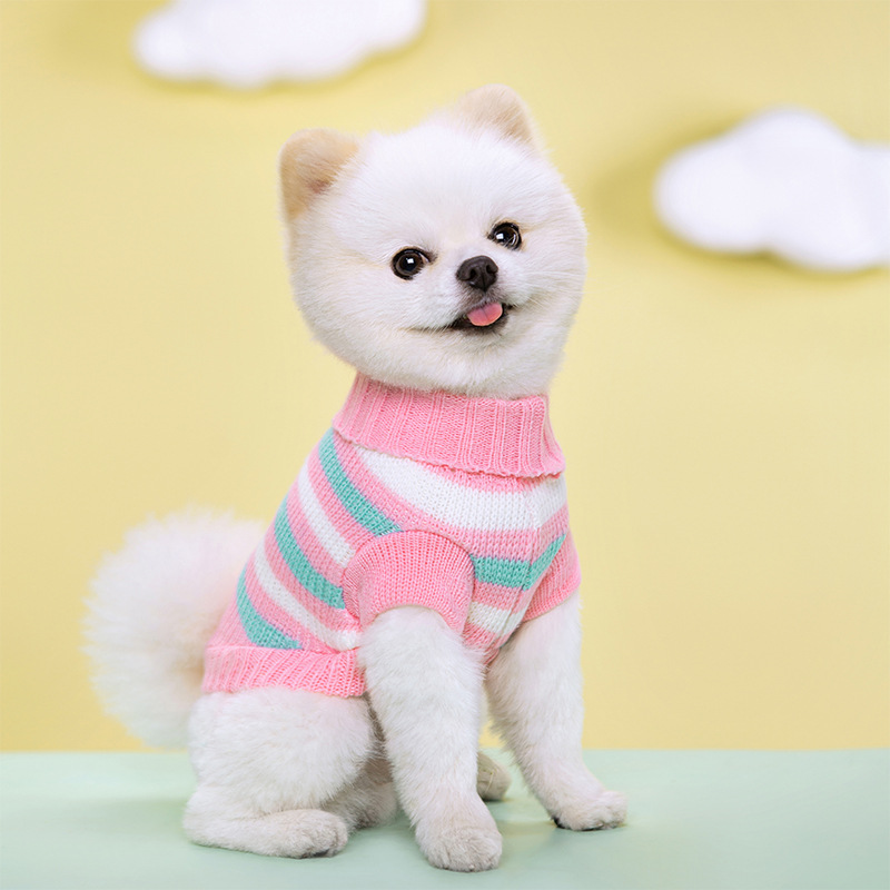 Pull en tricot moyen pour chie - Pet Supplies York avis et prix