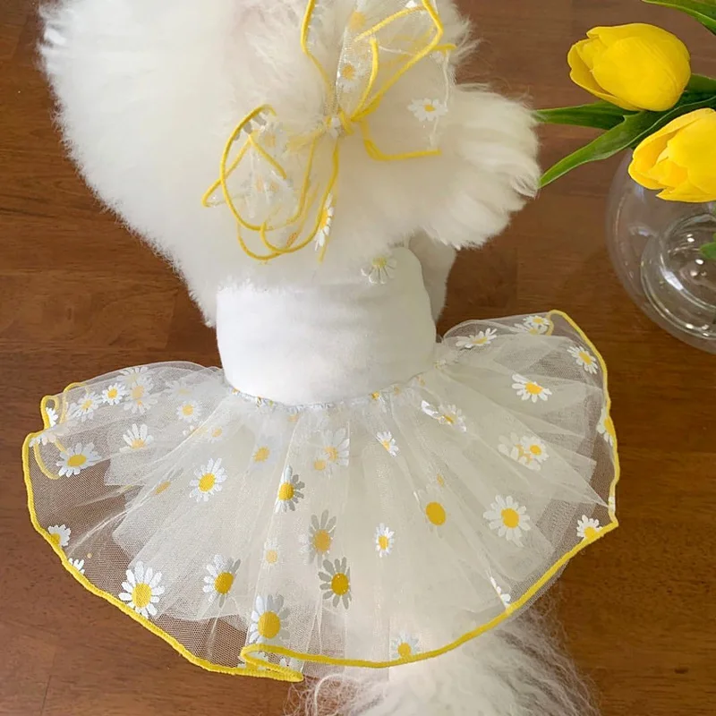 Robe mignonne pour petits chie - Pet Supplies York avis et prix
