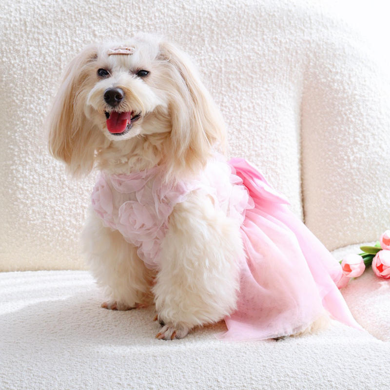 Robe de princesse fine pour ch - Pet Supplies York avis et prix