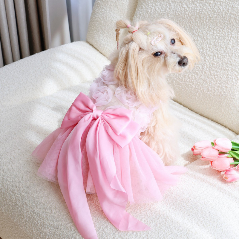 Robe de princesse fine pour ch - Pet Supplies York avis et prix