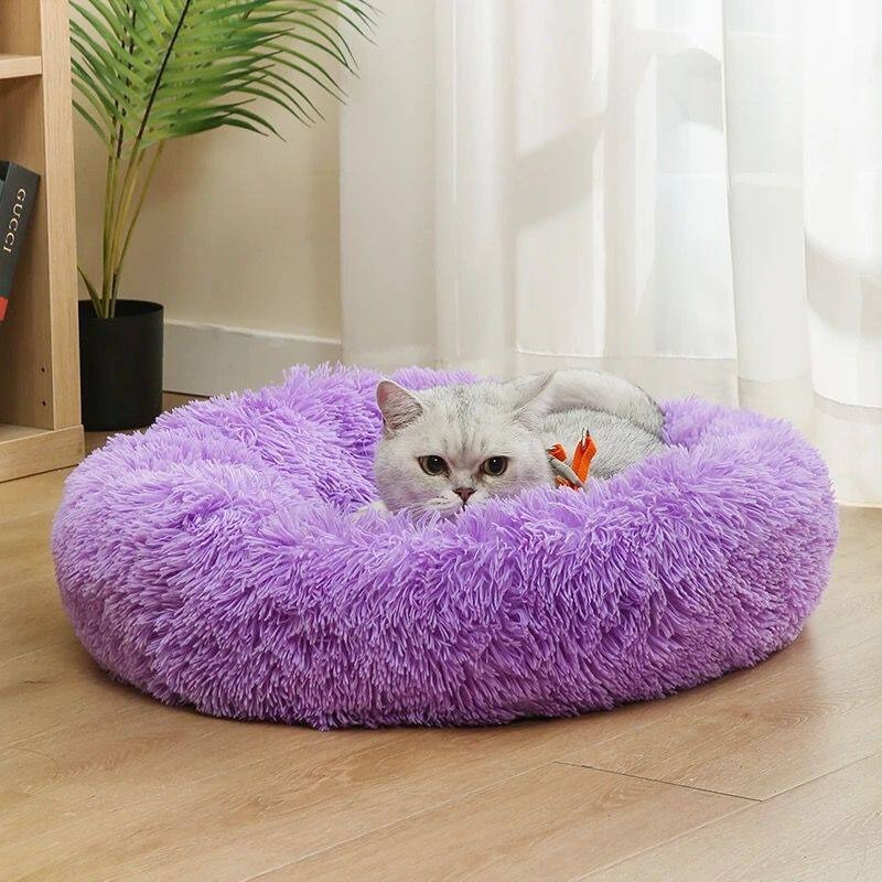 Lit pour chien en coton moelle - Pet Supplies In Australia avis et prix
