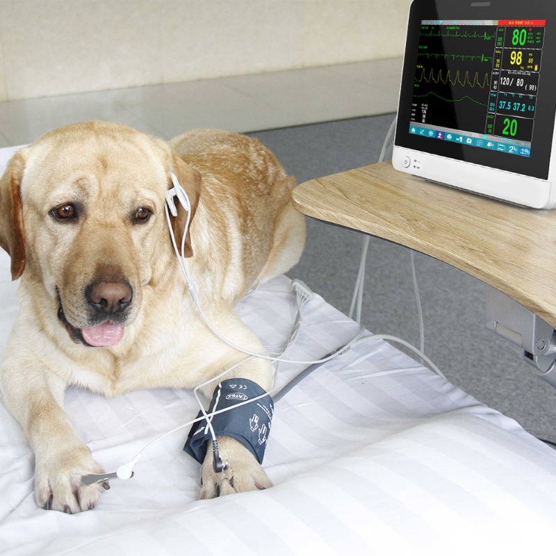 Vétérinaire pour animaux de co - Pet Supplies Vet avis et prix