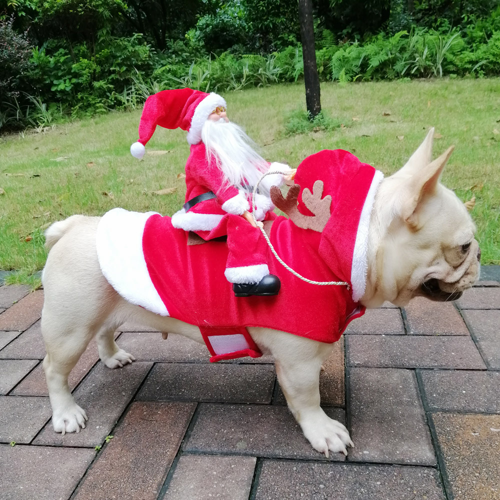 Costume d'hiver pour animaux d - Pet Supplies York avis et prix